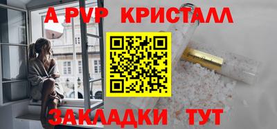 спиды Кингисепп