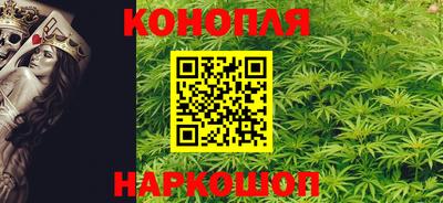 спиды Кингисепп
