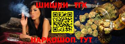 спиды Кингисепп