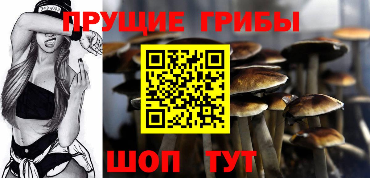 Янаул  Псилоцибиновые грибы GOLDEN TEACHER  Псилоцибиновые грибы MAGIC MUSHROOMS  Вход с VPN 