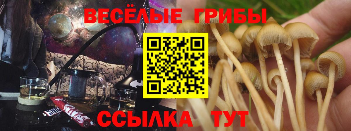 Псилоцибиновые грибы MAGIC MUSHROOMS Янаул